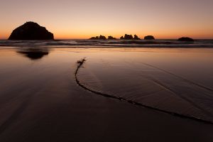 20100910_Oregan coast_0239.jpg